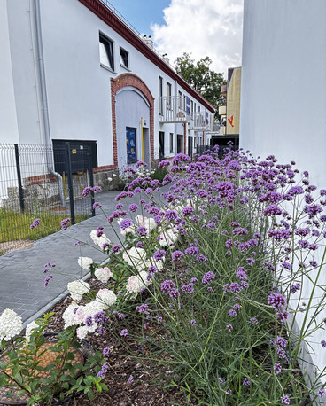 Piękny duży apartament w dworku/Krzyki/Wojszyce Wrocław - zdjęcie 2