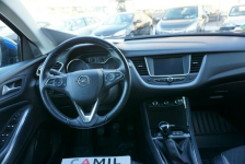 Opel Grandland X zarejestrowany,ubezpieczony, atrakcyjny przebieg Opole - zdjęcie 11