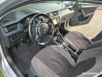 Skoda Octavia 2017 PO PRZEGLĄDZIE Chomentów - zdjęcie 8