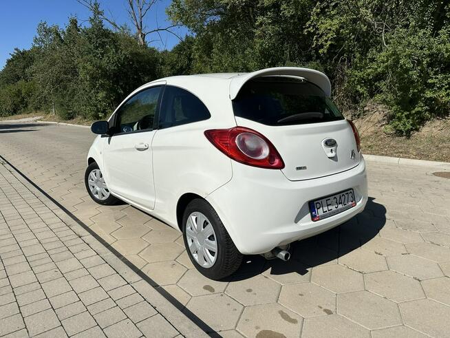 Ford KA 1.3TDCi 75KM Climtronic Niski przebieg Gostyń - zdjęcie 4
