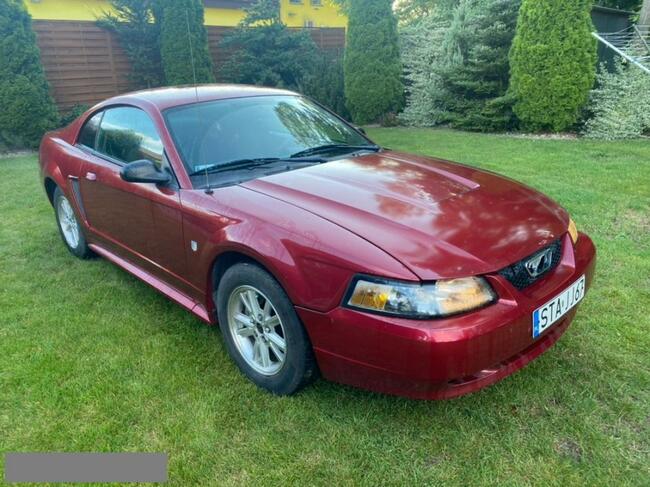 Ford Mustang Klima Stan Super LPG Miasteczko Śląskie - zdjęcie 1