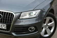 Audi Q5 S-Line  Quattro Skóry Navi Bi-Xenon Ledy  Alu19 El.klapa ASO Ostrów Mazowiecka - zdjęcie 5