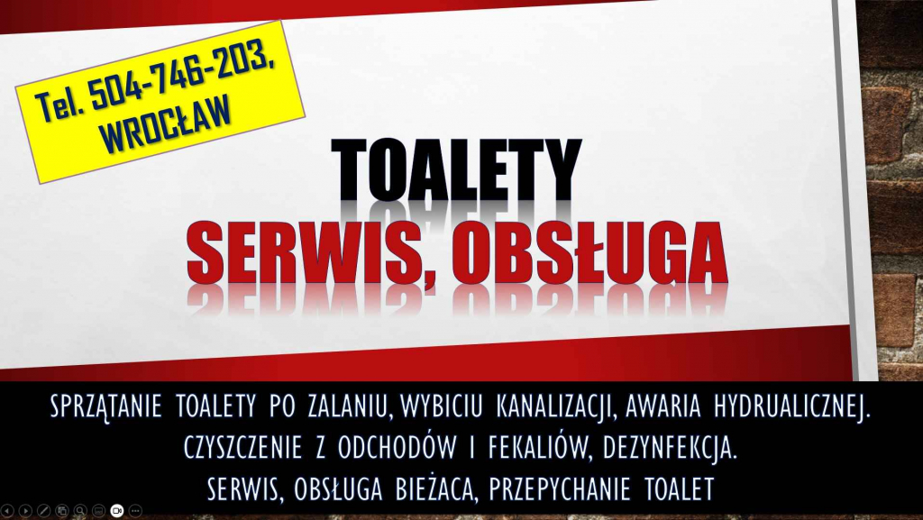 Sprzątanie zabrudzonych toalet, tel. 504-746-203. Wrocław. fekalia Psie Pole - zdjęcie 4