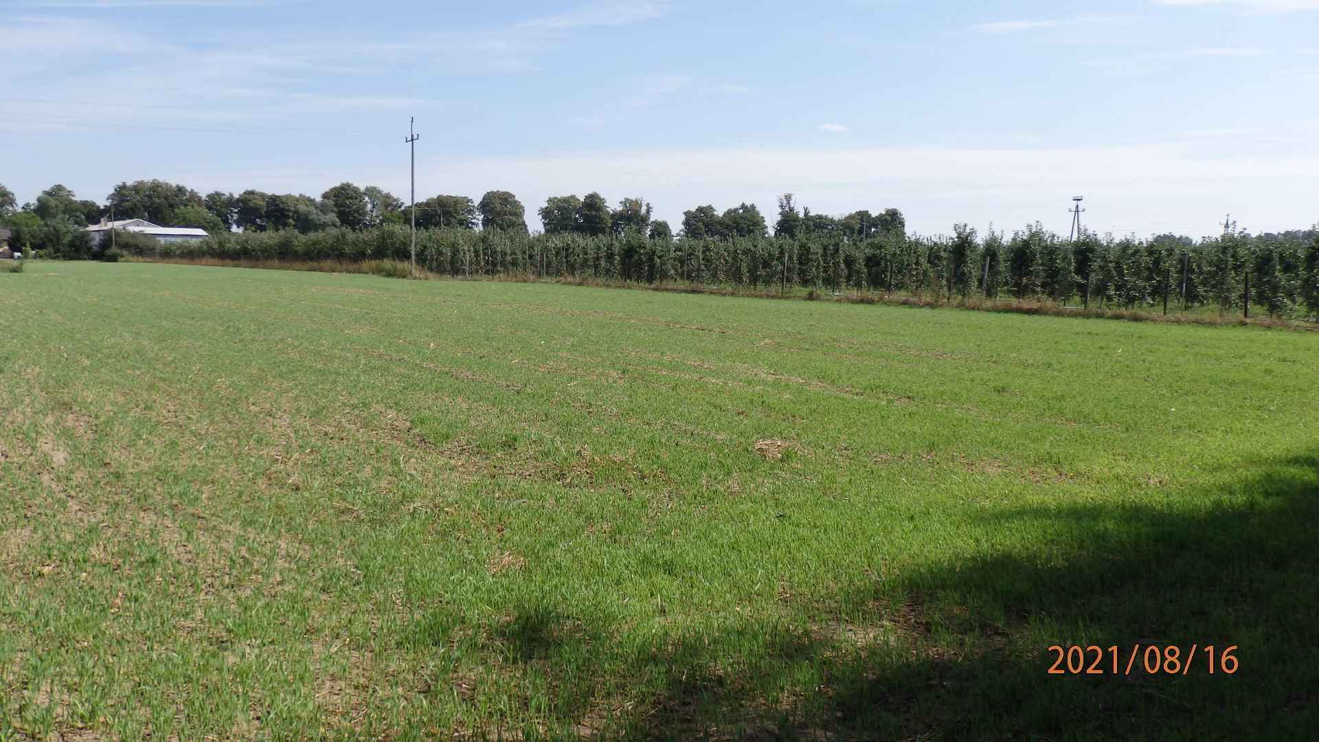 Sprzedam działkę budowlano inwest.z atrakcyjnym Warunkami Zabudowy. Świecie - zdjęcie 6