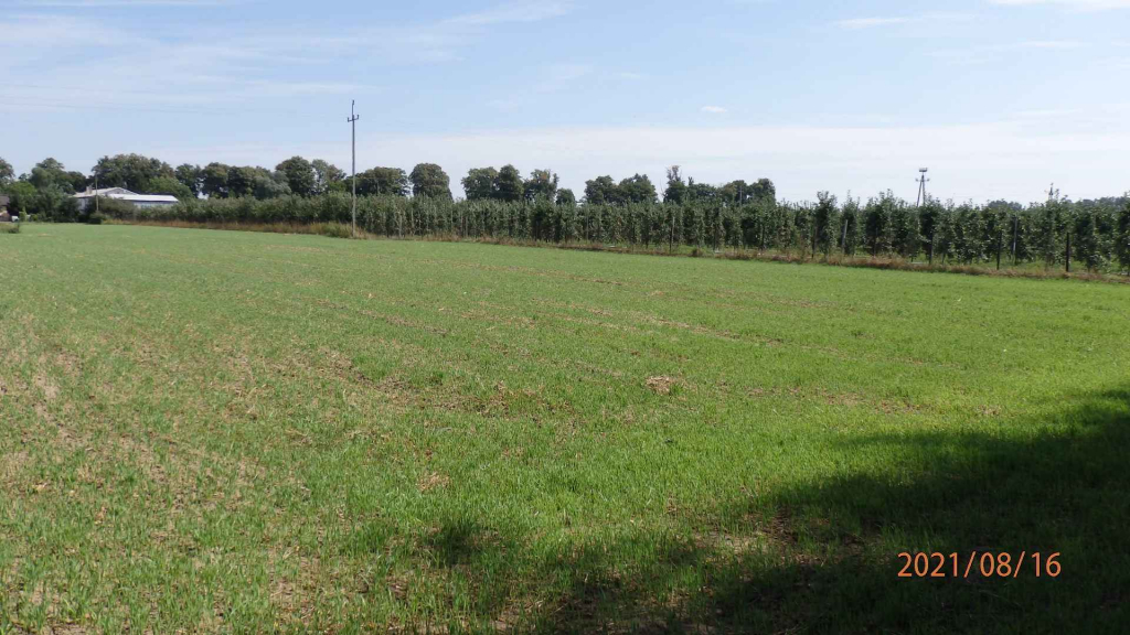 Sprzedam działkę budowlano inwest.z atrakcyjnym Warunkami Zabudowy. Świecie - zdjęcie 6