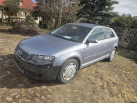 Audi A 3 1.9 tdi Nidzica - zdjęcie 6