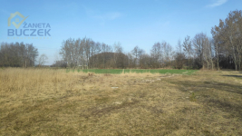 Sprzedam działki budowlano-usługowe w Lubiejewie Lubiejew - zdjęcie 8