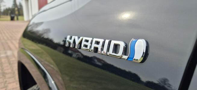 Toyota RAV-4 PANORAMA-HYBRYDA-WERSJA Paproć - zdjęcie 8