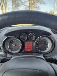 Opel Mokka Domanice-Kolonia - zdjęcie 11