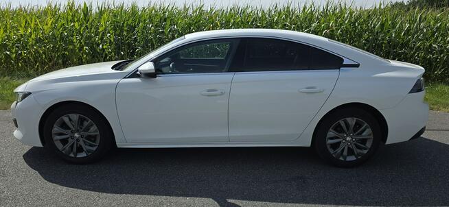 Peugeot 508 1.5 Hdi 33.000km Pleszew - zdjęcie 12