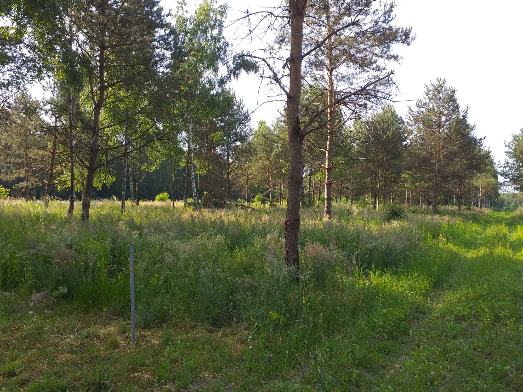 Sprzedam działkę budowlaną Ursynów - zdjęcie 4