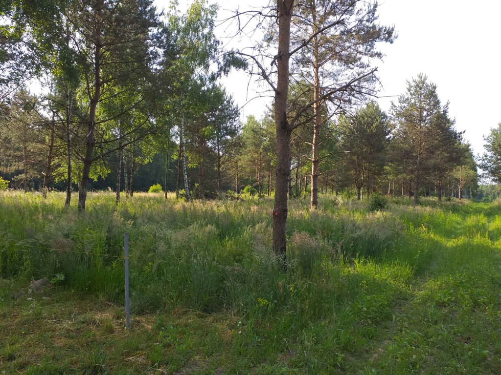 Sprzedam działkę budowlaną Ursynów - zdjęcie 4