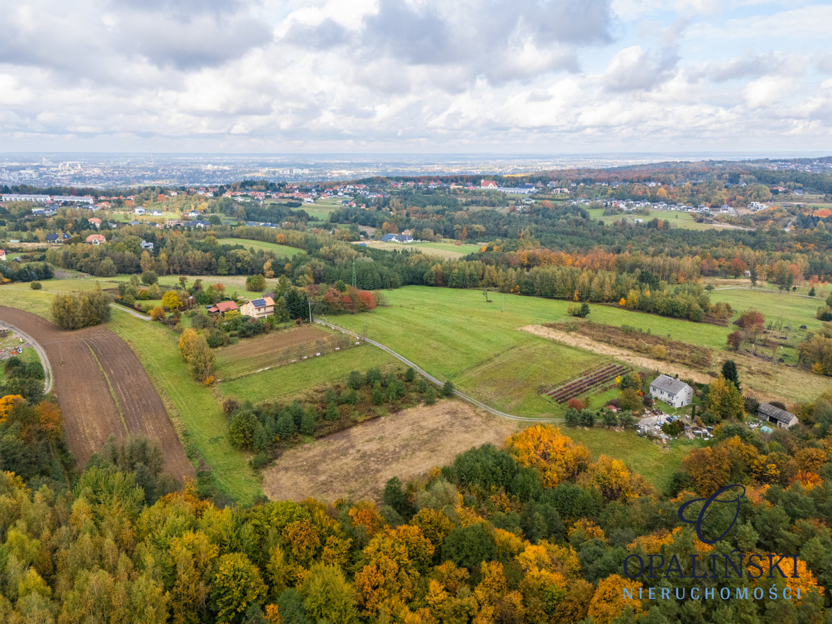 Działka pod lasem 16,80 ar z warunkami zabudowy Rzeszów - zdjęcie 7