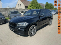 BMW X5 Mpakiet xDrive Kamera Panorama Skóra