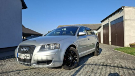 Sprzedam Audi A3 8P z 2008r. Kalisz - zdjęcie 12