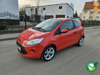 Ford KA Opłacony Zdrowy  Zadbany Serwisowany  po Serwisie