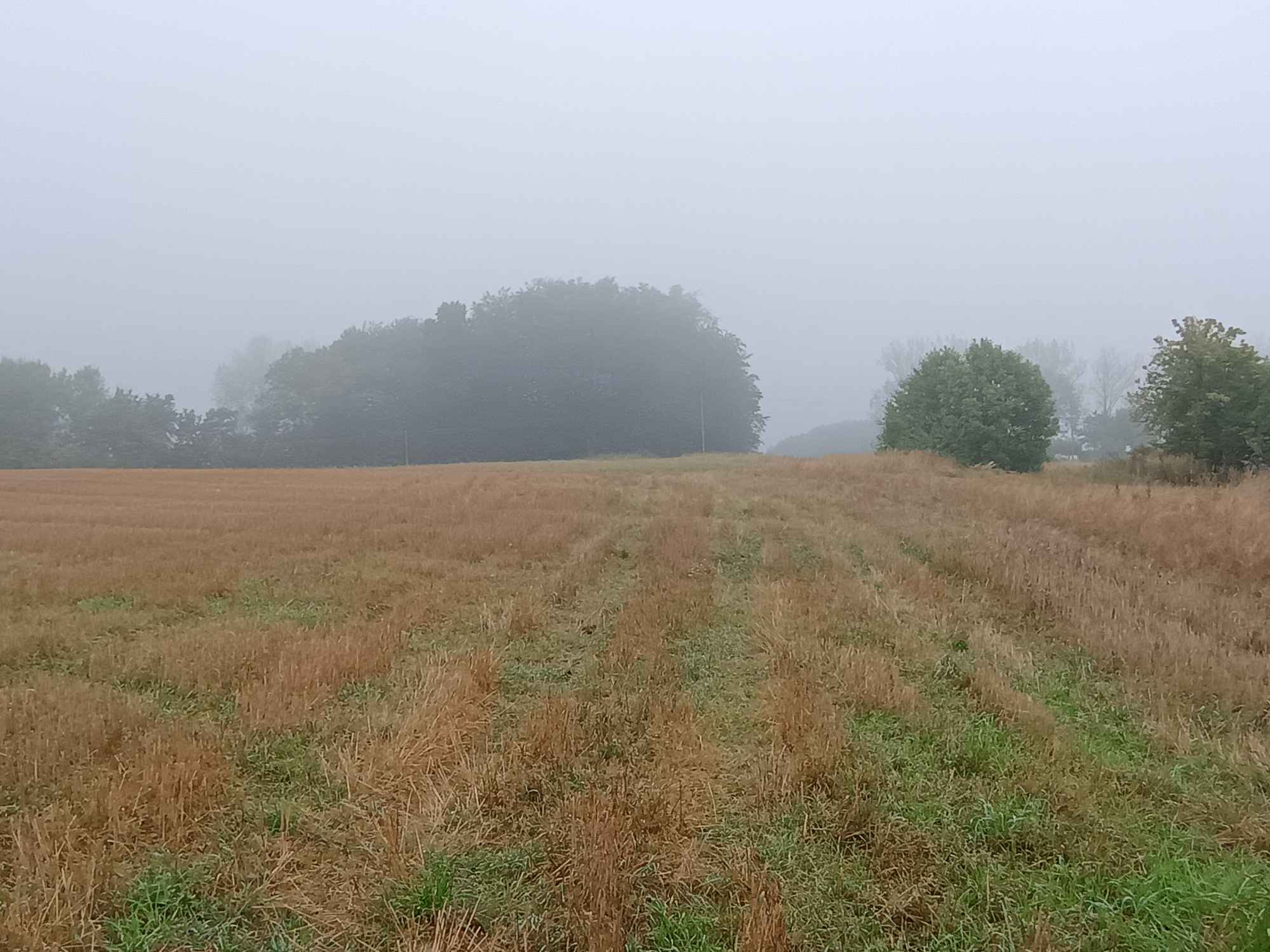 Spszedam Gospodarstfo Koszalin - zdjęcie 3