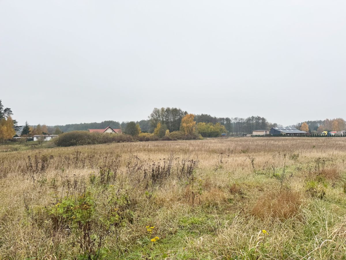 Grunt inwestycyjny. Idealny pod hale, biurowiec Sulnówko - zdjęcie 10