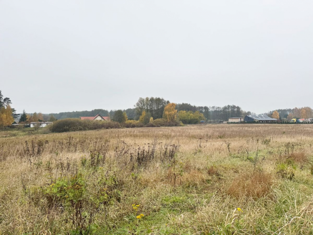 Grunt inwestycyjny. Idealny pod hale, biurowiec Sulnówko - zdjęcie 10