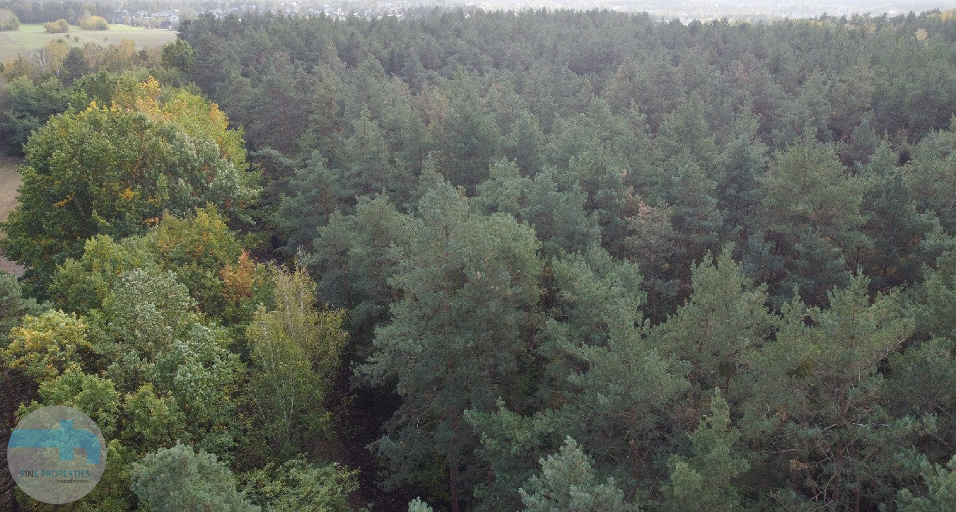 Atrakcyjna działka budowlana blisko lasu Kałuszyn - zdjęcie 7
