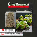 Opieka nad grobami Warszawa - sprzątanie i dekoracja grobu Ochota - zdjęcie 3