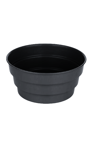 Misa (chryzantema) fi 17 cm Papowo Biskupie - zdjęcie 3