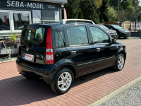 Fiat Panda Panorama, Climatronic, Gwarancja, City Sade Budy - zdjęcie 4