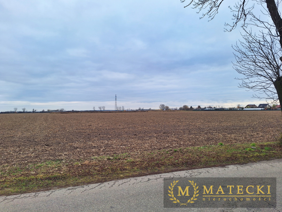 Działka AG  - 7 km od Poznania Tulce - zdjęcie 4