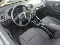 AUDI A3  1,9 tdi   105 KM  lift 2005 Pieszyce - zdjęcie 2