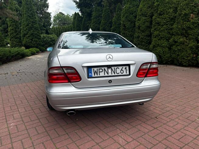 Mercedes CLK 200 Super stan Płońsk - zdjęcie 9
