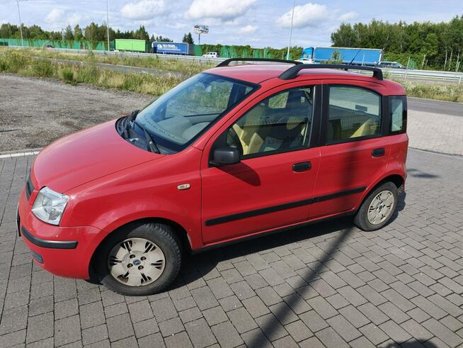 Fiat Panda Lipówki - zdjęcie 2