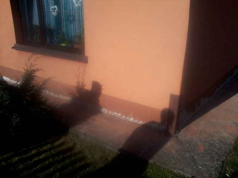 Osuszanie Fundamentów, Piwnic Iniekcja Krystaliczna, Podcinanie Ścian Bielsko-Biała - zdjęcie 4