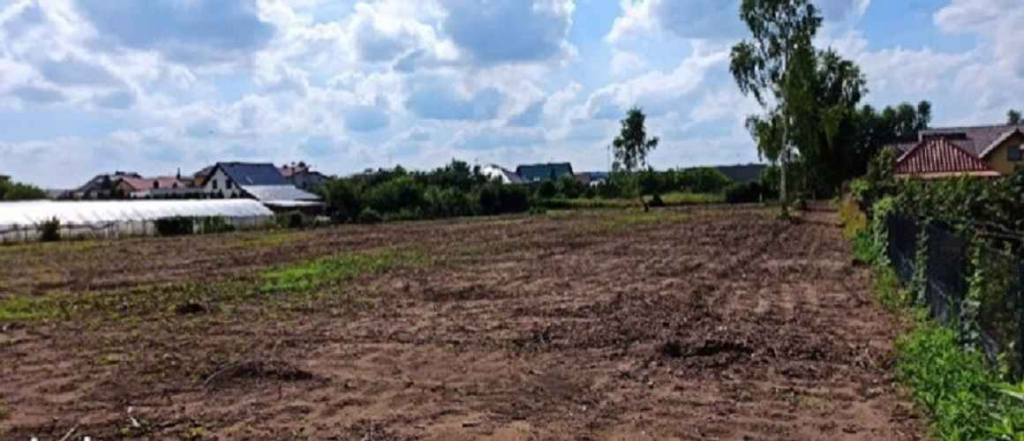 Działka Budowlana (6600 m2) okolice Różanej (Syców) Syców - zdjęcie 4