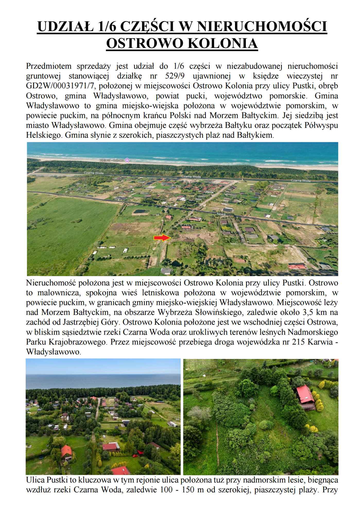 Syndyk sprzeda działkę Ostrowo Kolonia Pisz - zdjęcie 2