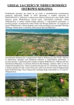 Syndyk sprzeda działkę Ostrowo Kolonia Pisz - zdjęcie 2