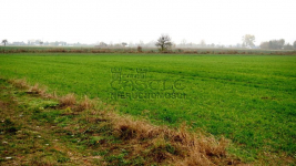 Tylko teraz TAKA CENA. Zalasewo - zdjęcie 4