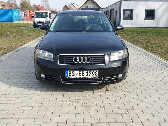Audi A3 2.0tdi 140KM Skóra Klima Alu17 Raty Zamiana. Strobice - zdjęcie 6