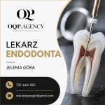 Lekarz Dentysta - Endodonta