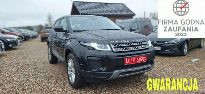 Land Rover Range Rover Evoque super stan duza navi ledy xsenon Lębork - zdjęcie 1