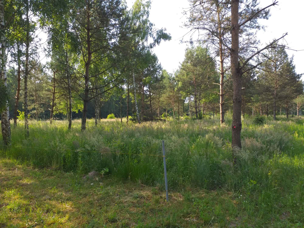 Sprzedam działkę budowlaną Ursynów - zdjęcie 5