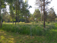 Sprzedam działkę budowlaną Ursynów - zdjęcie 5