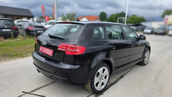 Audi A3 Climatronic   super stan nowy rozrząd Lębork - zdjęcie 8