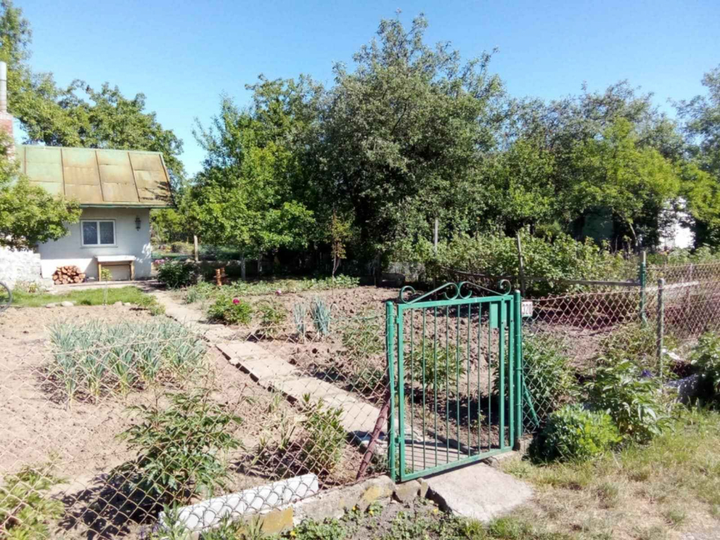 Sprzedam prawo do dzierżawy działki ROD Jeżyny – Wrocław Osobowice Śródmieście - zdjęcie 12