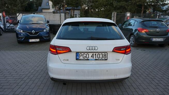 Audi A3 piękny. Gwarancja. Polecam !!! Zielona Góra - zdjęcie 8