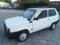 FIAT PANDA Lublin - zdjęcie 6