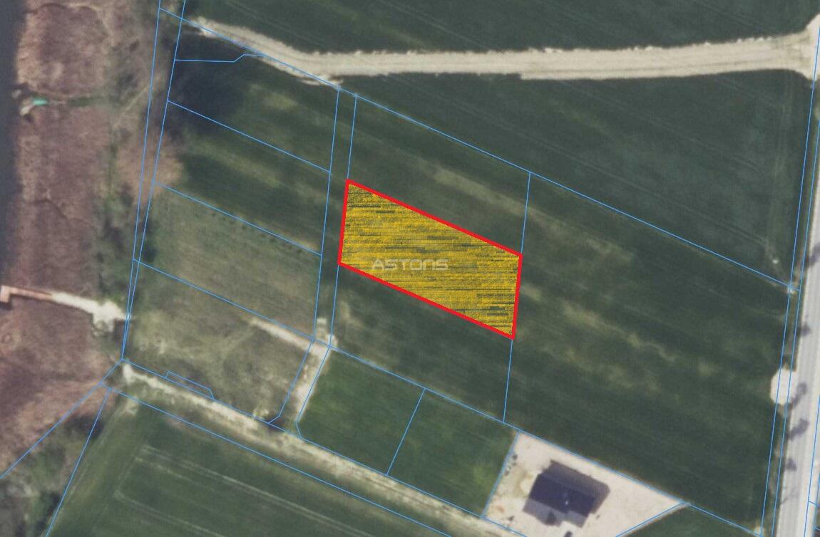 UROKLIWA DZIAŁKA BLISKO JEZIORA! Strykowo - zdjęcie 8