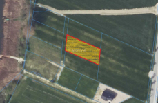 UROKLIWA DZIAŁKA BLISKO JEZIORA! Strykowo - zdjęcie 8