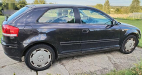 Audi A3 8p LZ7L 1,6mpi Chęciny - zdjęcie 3