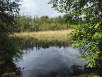Działka inwestycyjna (3012 met) okolice Wrocławia (Ostrowina) Ostrowina - zdjęcie 8