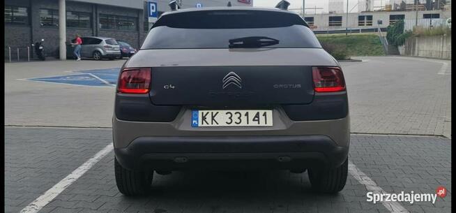 Uszodzony Cactus Sprawdz go w garażu samoobsługowym Kraków - zdjęcie 5